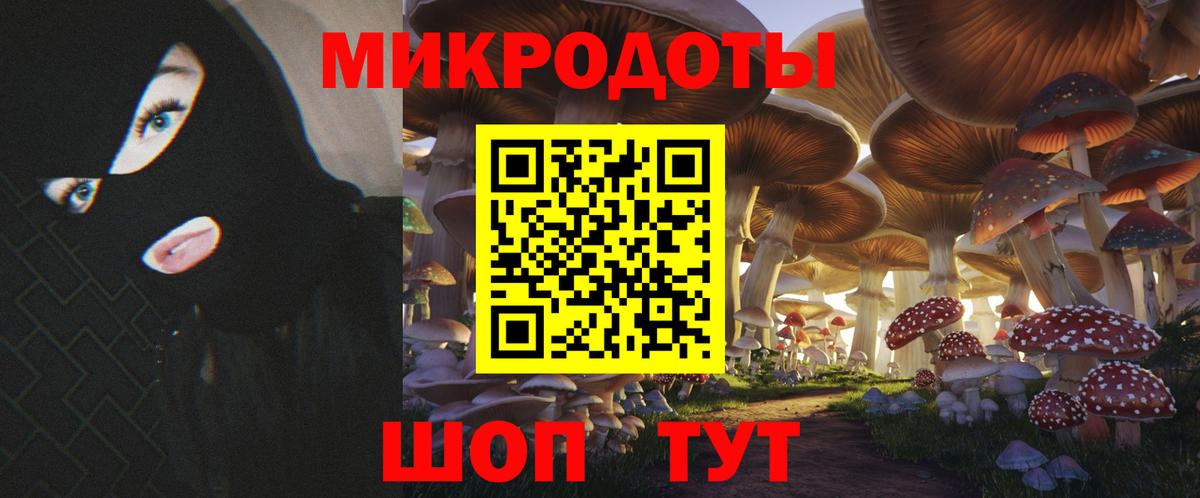 Галлюциногенные грибы Cubensis Дзержинск
